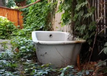 old-bathtub-abandoned-yard_1048944-10793403